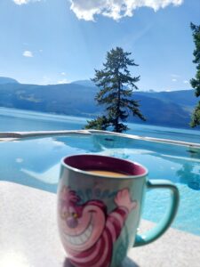 Private Infinity Hot Springs Pools & Chalets in Halcyon