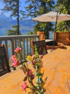 Private Infinity Hot Springs Pools & Chalets in Halcyon